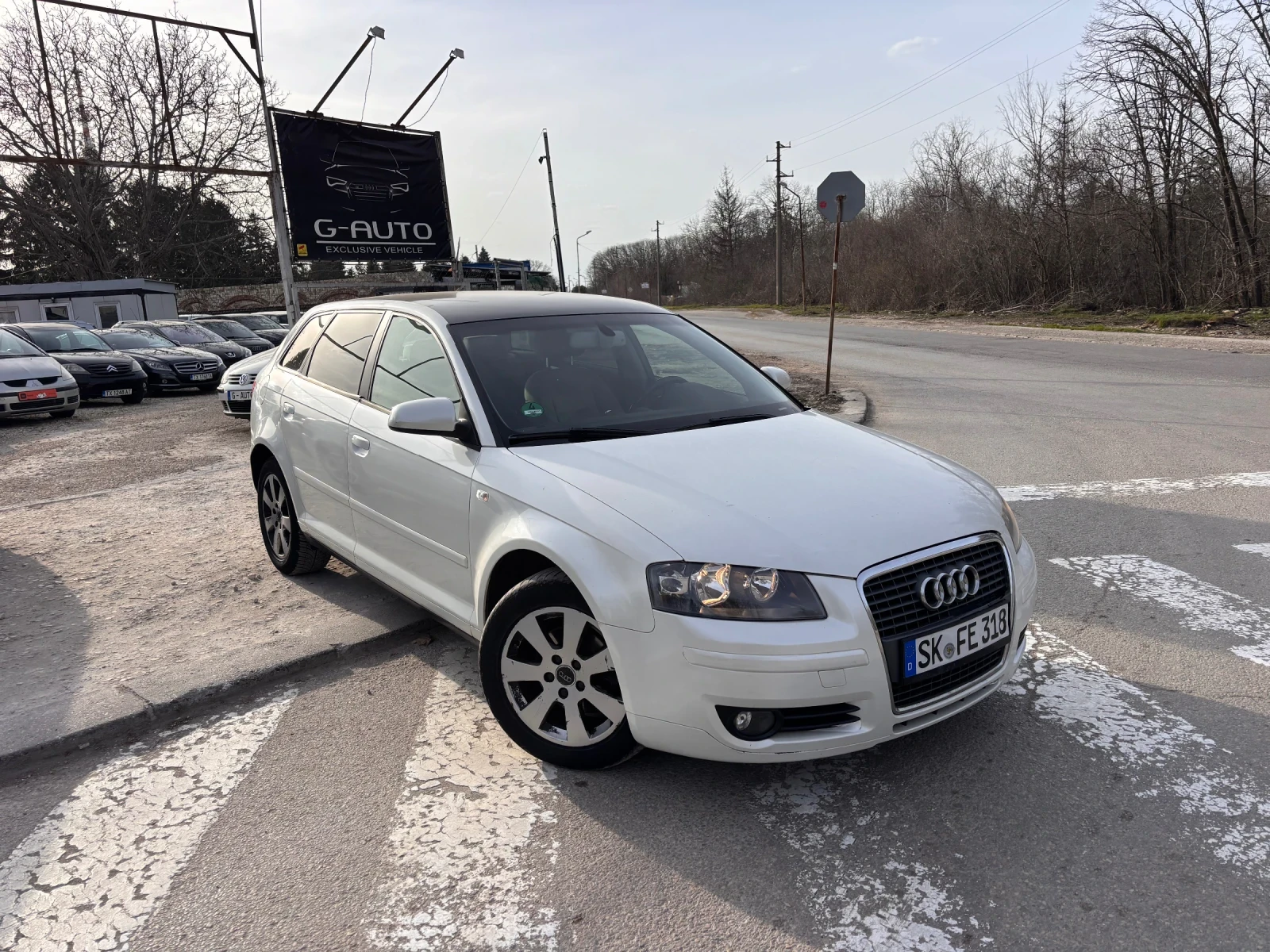 Audi A3 1.9TDI 105kc., снимка 4 - Автомобили и джипове - 54035293