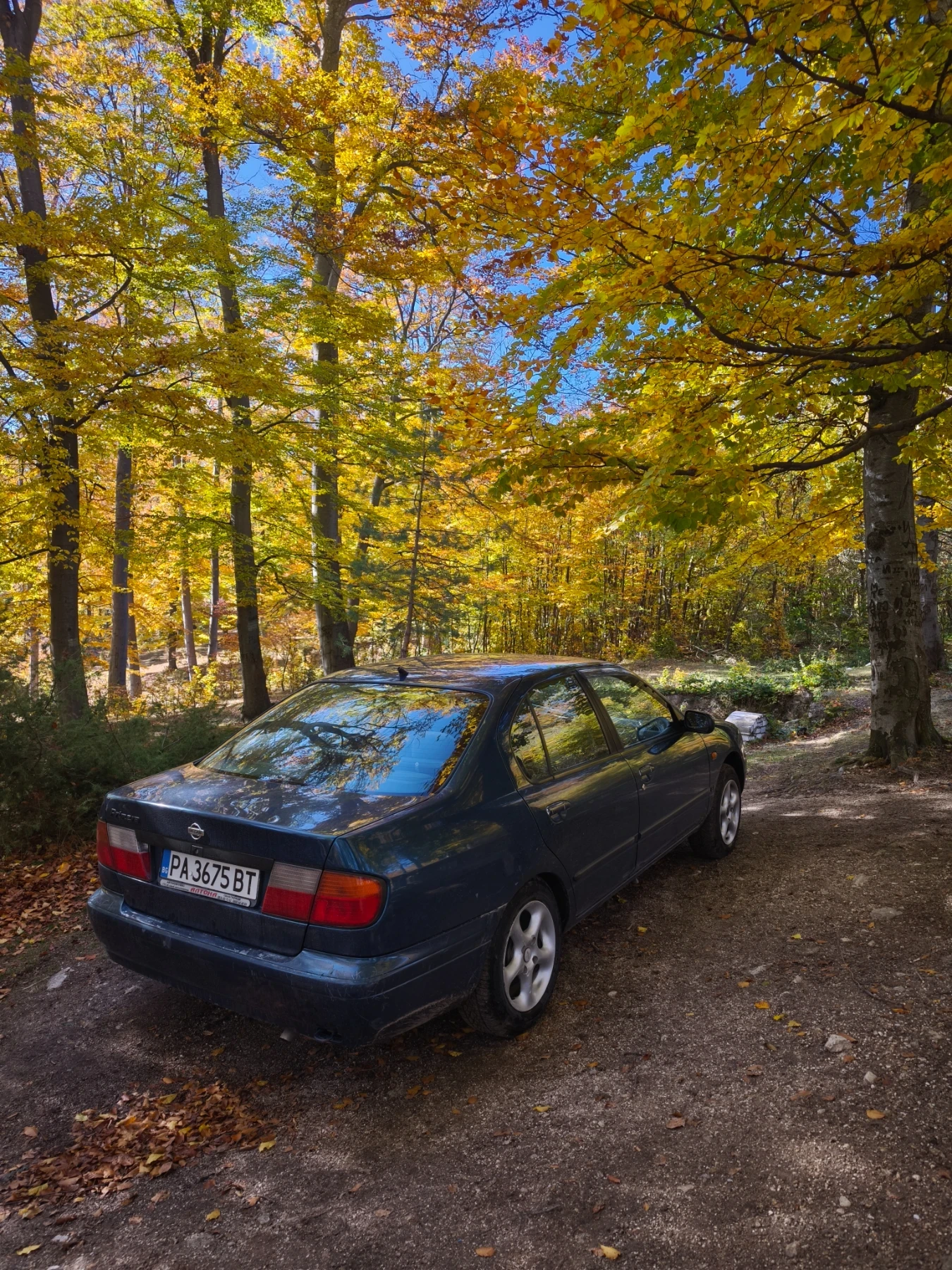 Nissan Primera 1, 6 / 16v/ 99 к.с. Газ/Бензин - изображение 3