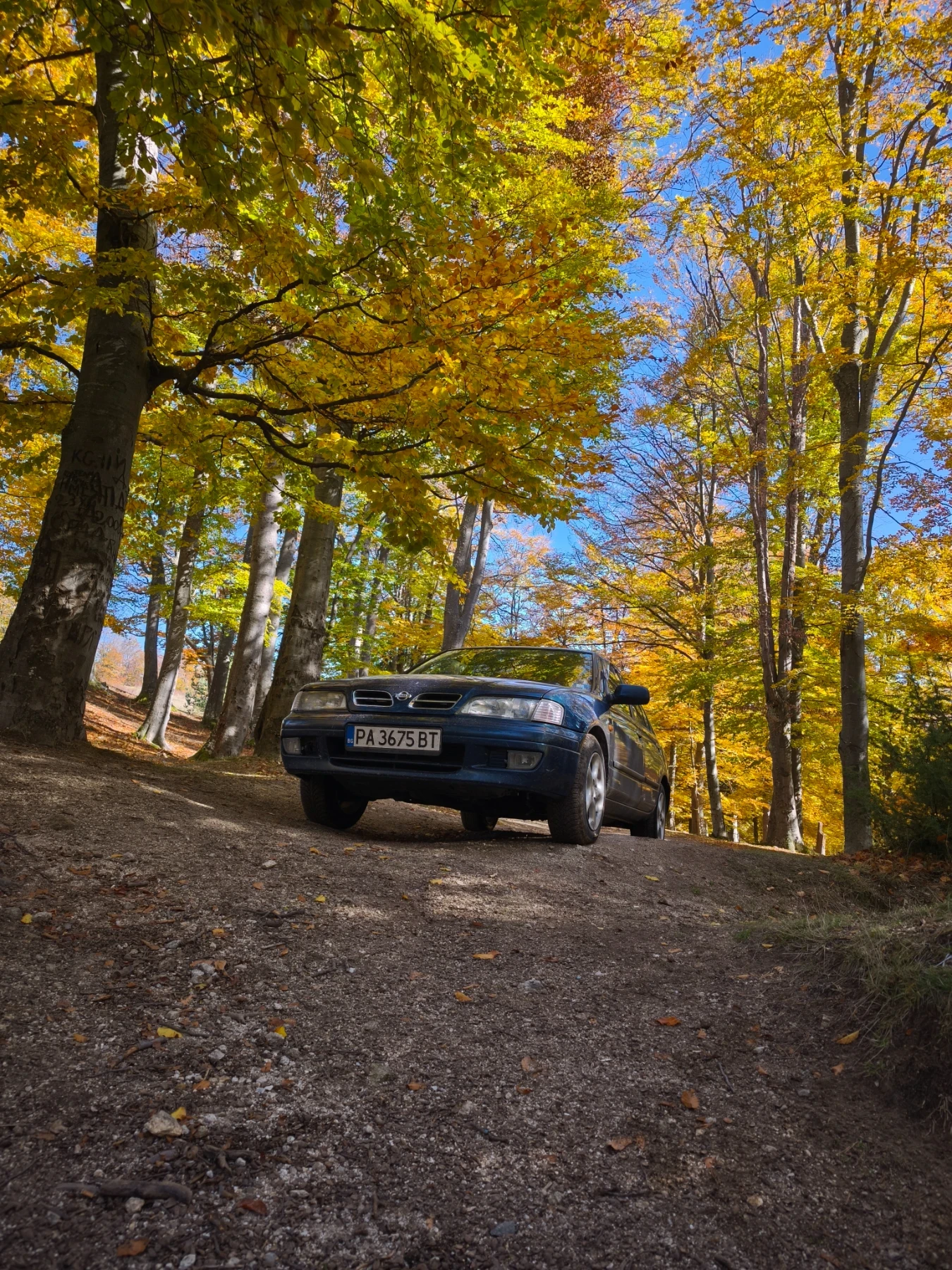 Nissan Primera 1, 6 / 16v/ 99 к.с. Газ/Бензин - изображение 4