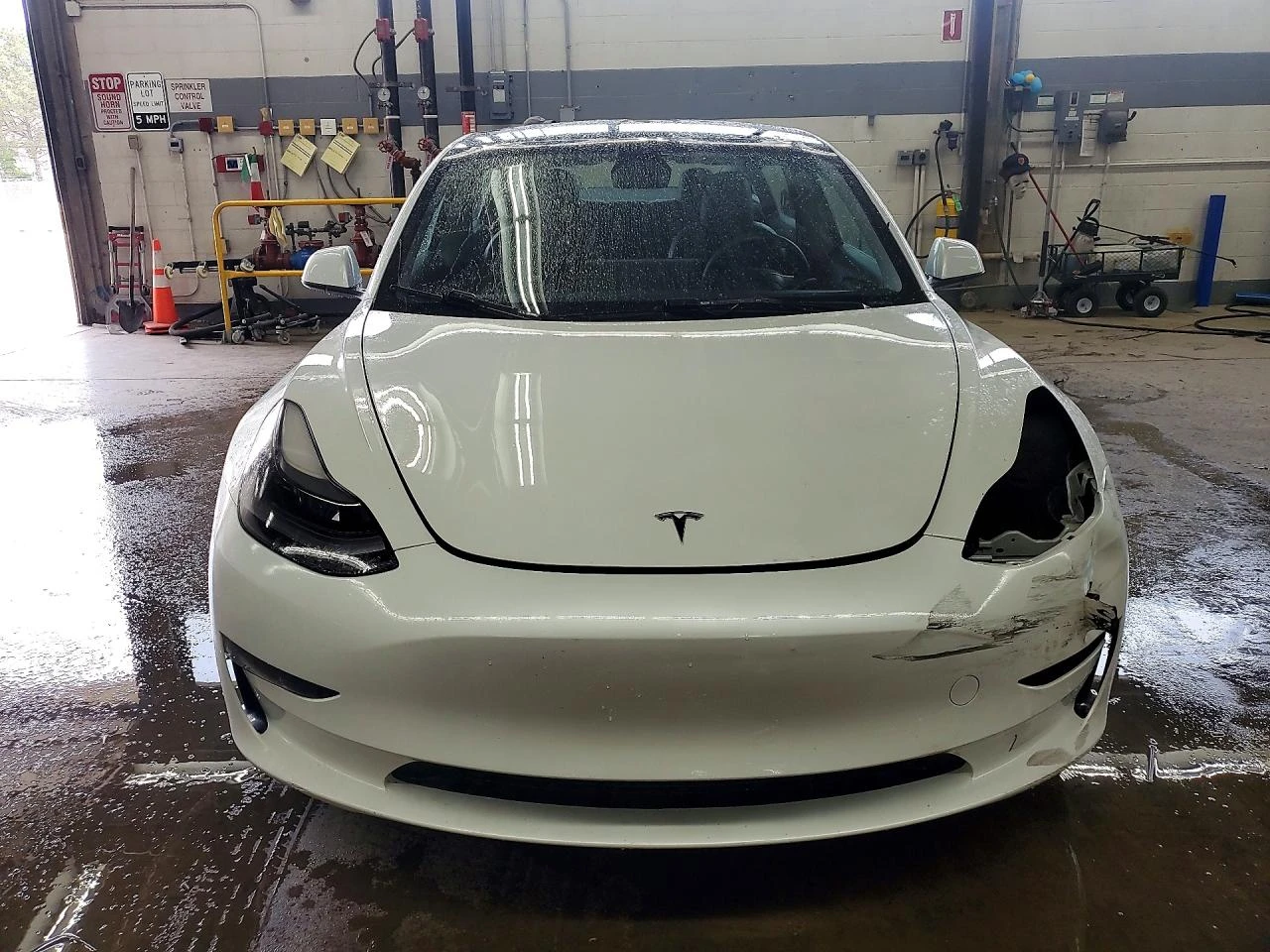Tesla Model 3, снимка 5 - Автомобили и джипове - 54624046