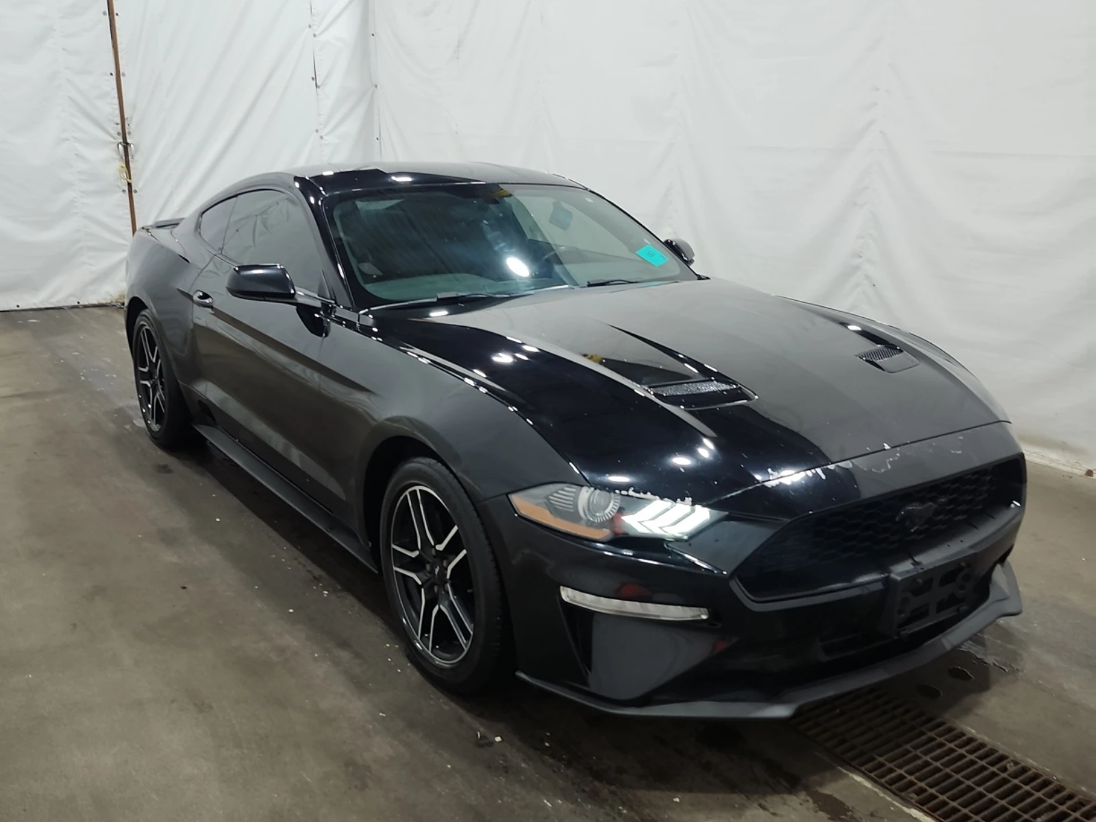 Ford Mustang * FASTBACK* ECOBOOST* TURBO* NAVI* �����������*  | Mobile.bg � ����������� 5
