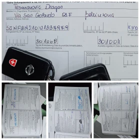 Nissan Qashqai 2.0i 4x4 SWISS EDITION , снимка 15