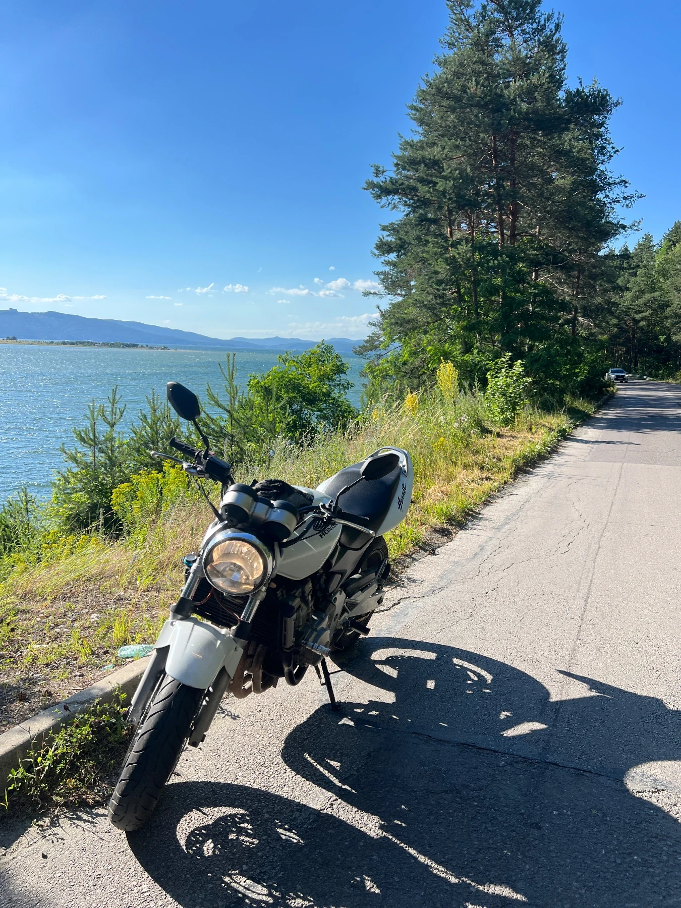 Honda Hornet 600