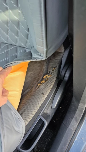 Citroen C4, снимка 10