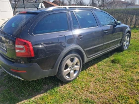 Skoda Octavia Scout  - 5500 € / 10757.07 лв. - 84699782 3