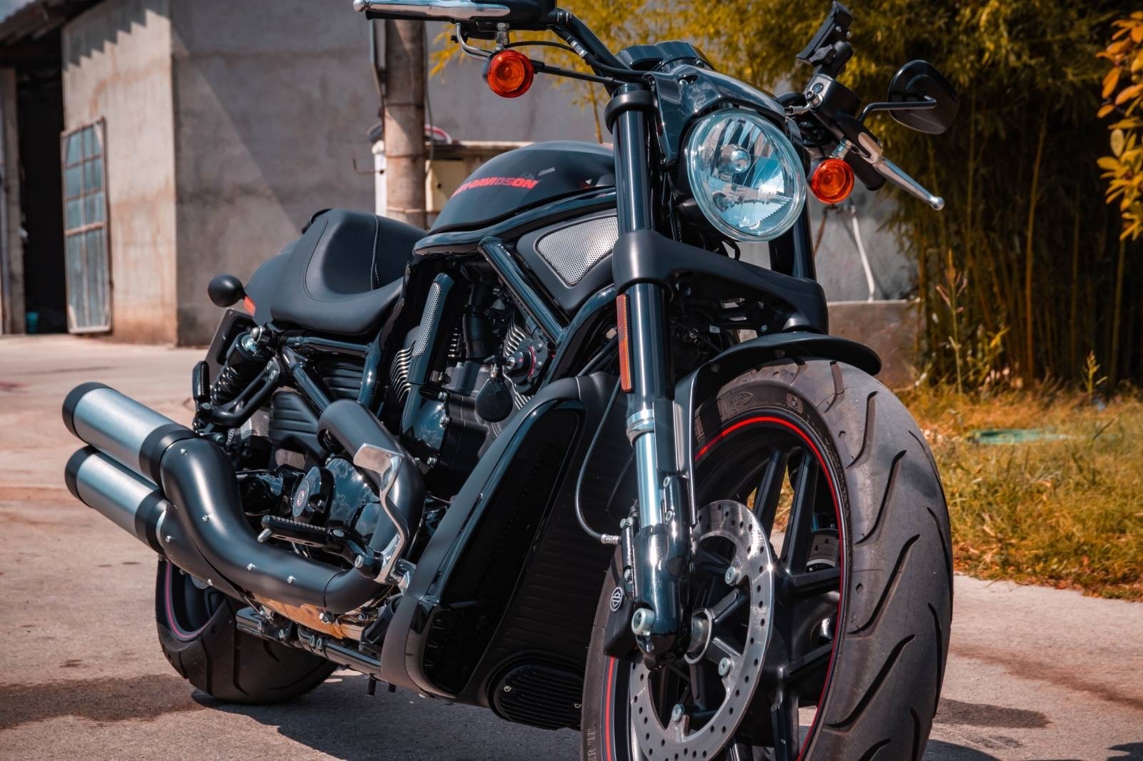Harley-Davidson VRCS Night Rod Special - изображение 1