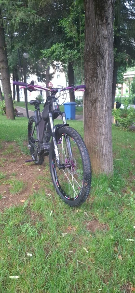      Santa Cruz Chameleon 