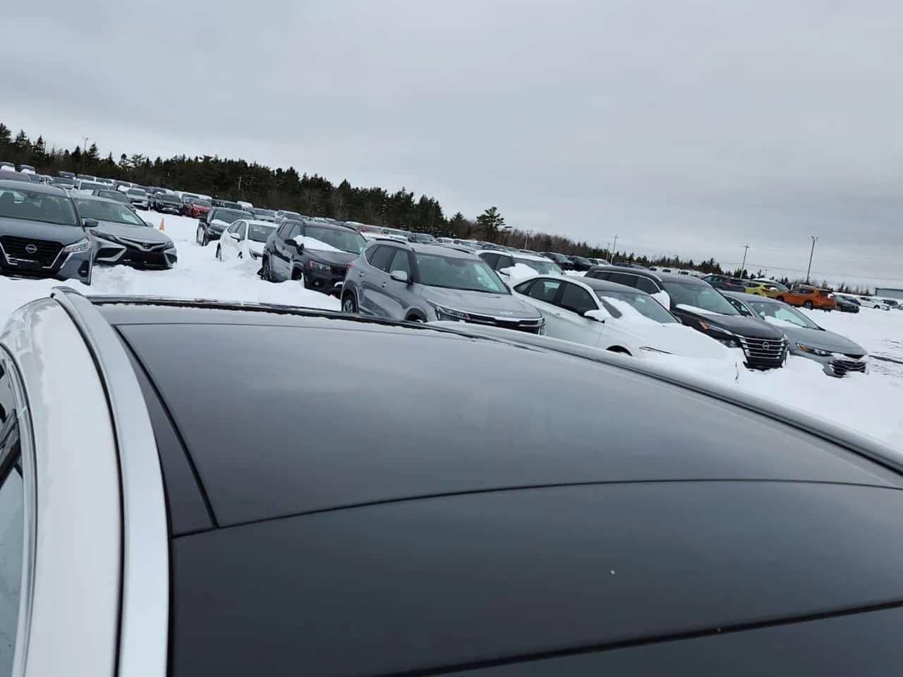 Mercedes-Benz GLA 250 * 4MATIC AWD * BURMEISTER* 2�����* �������* KEYLES | Mobile.bg � ����������� 16