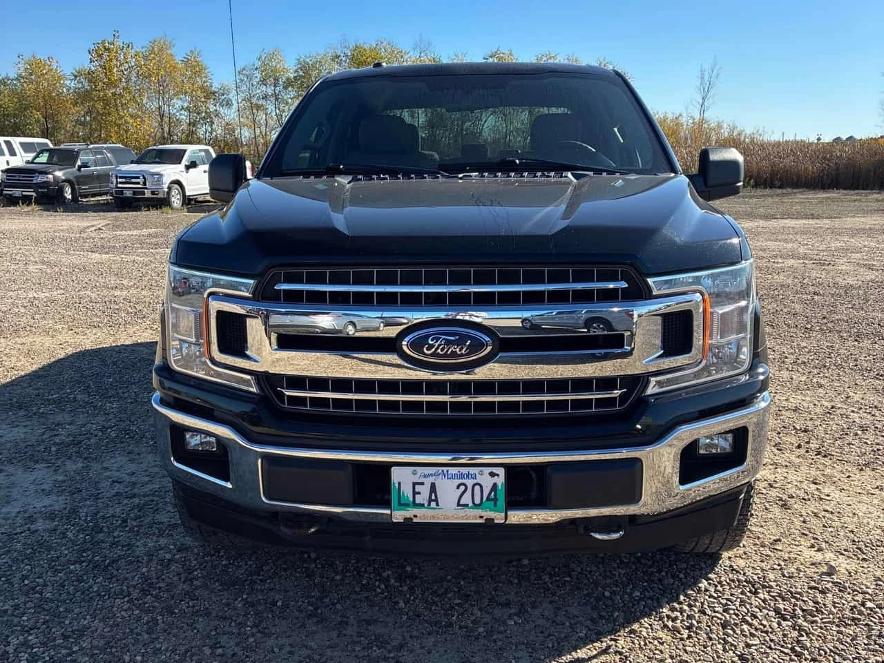 Ford F150 XLT 4WD SuperCrew 6.5' Box * ��������������� | Mobile.bg � ����������� 6