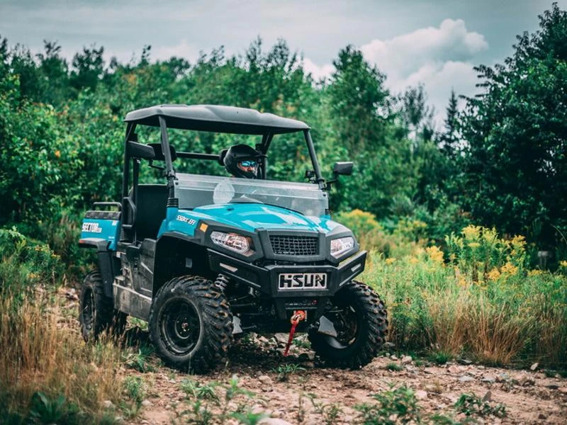 HISUN Sector 550