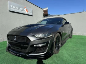 Ford Mustang GT Shelby Package Cabrio