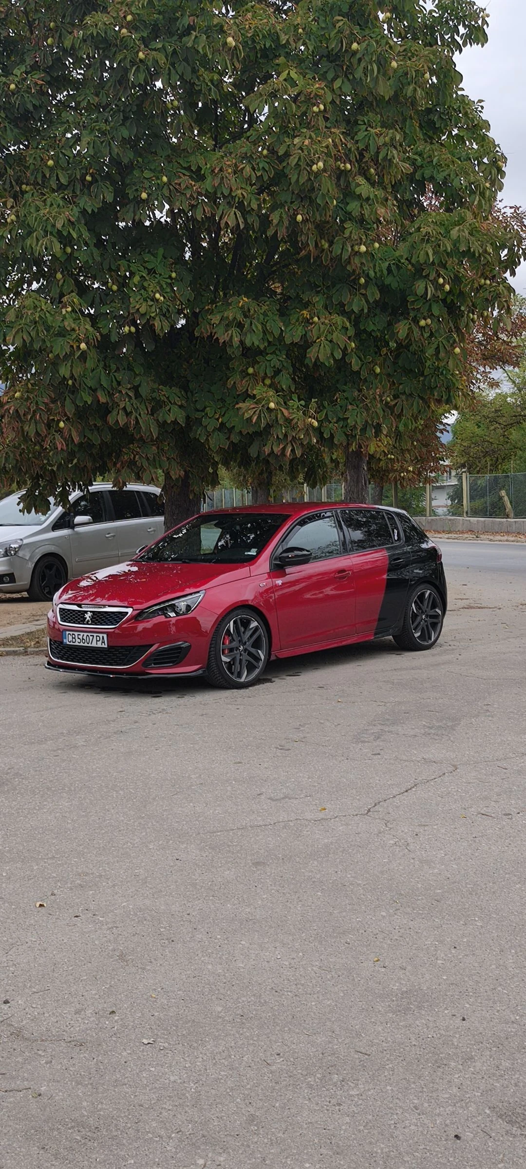 Peugeot 308 GTI 272 Конски сили, снимка 11 - Автомобили и джипове - 54371280