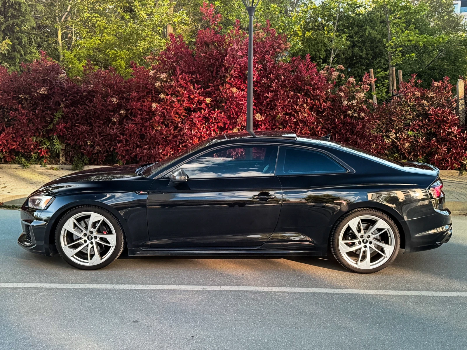 Audi Rs5 Coupe | 2.9 V6