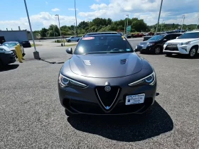    Alfa Romeo Stelvio Quadrifoglio