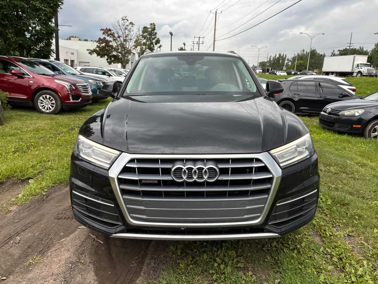 Audi Q5  Komfort / CAMERA / CARFAX / АВТОКРЕДИТ , снимка 6 - Автомобили и джипове - 55735337