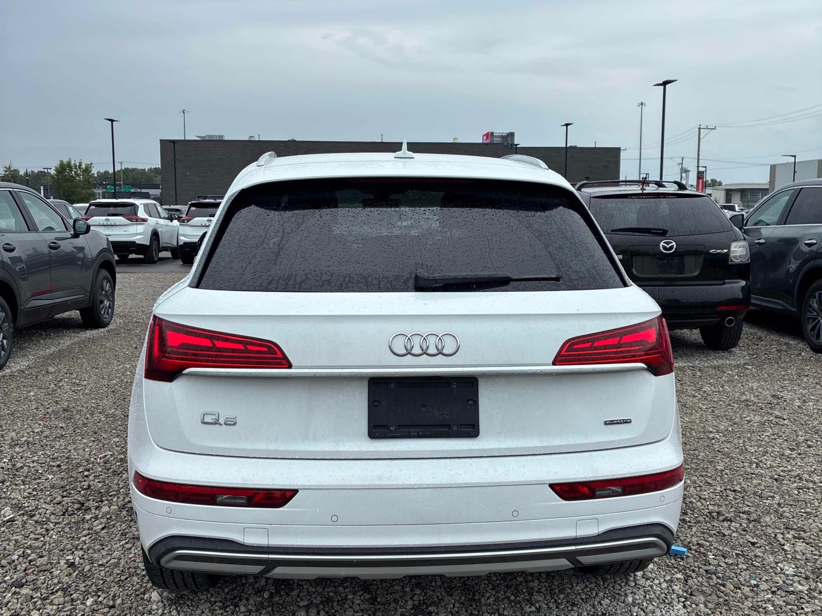 Audi Q5 * 40 TFSI quattro * CARFAX * , снимка 4 - Автомобили и джипове - 56120590