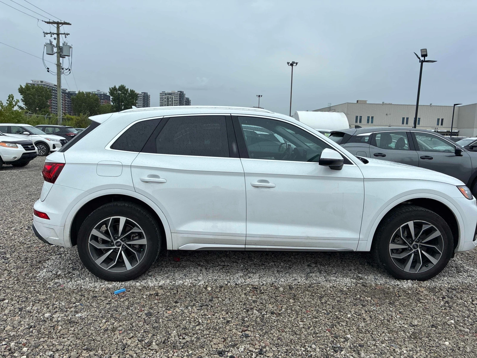 Audi Q5 * 40 TFSI quattro * CARFAX * , снимка 3 - Автомобили и джипове - 56120590