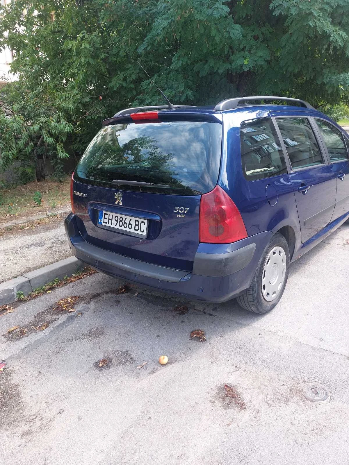 Peugeot 307 SW 2.0 HDi, снимка 4 - Автомобили и джипове - 55694224