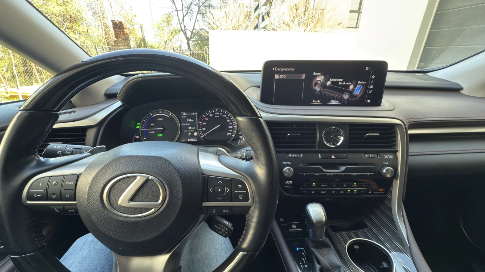 Lexus RX 450h Luxury - изображение 8