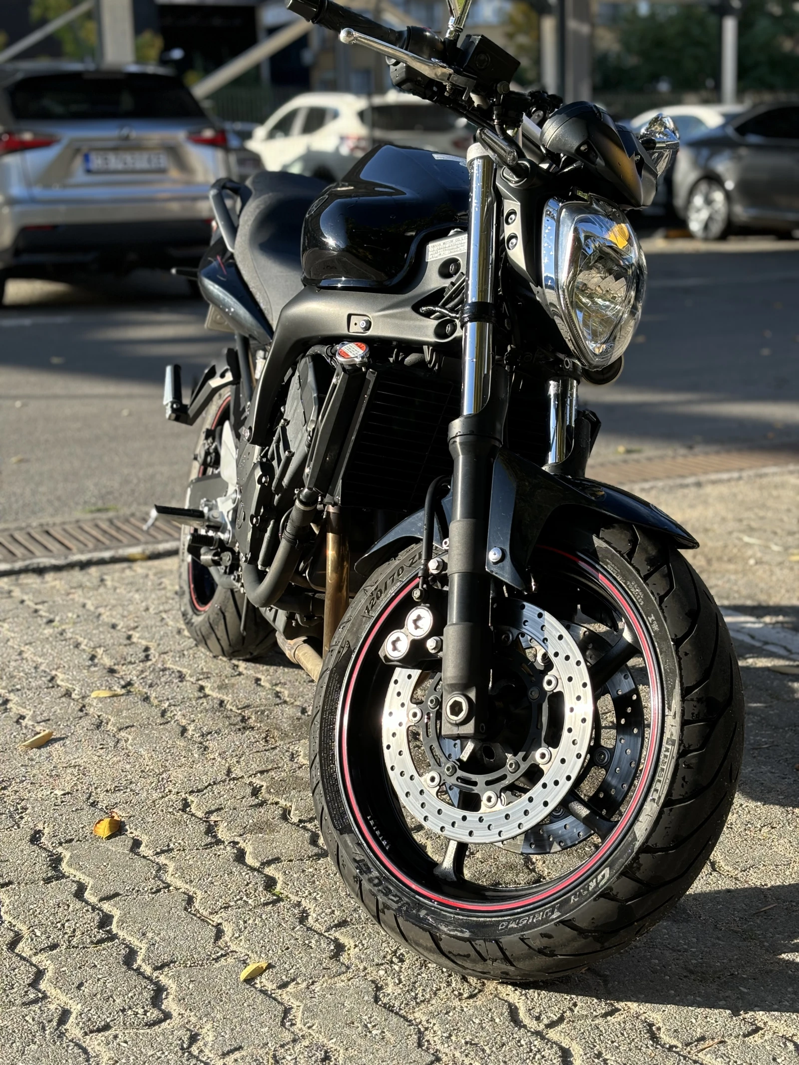 Yamaha FZ6N S2 - изображение 2