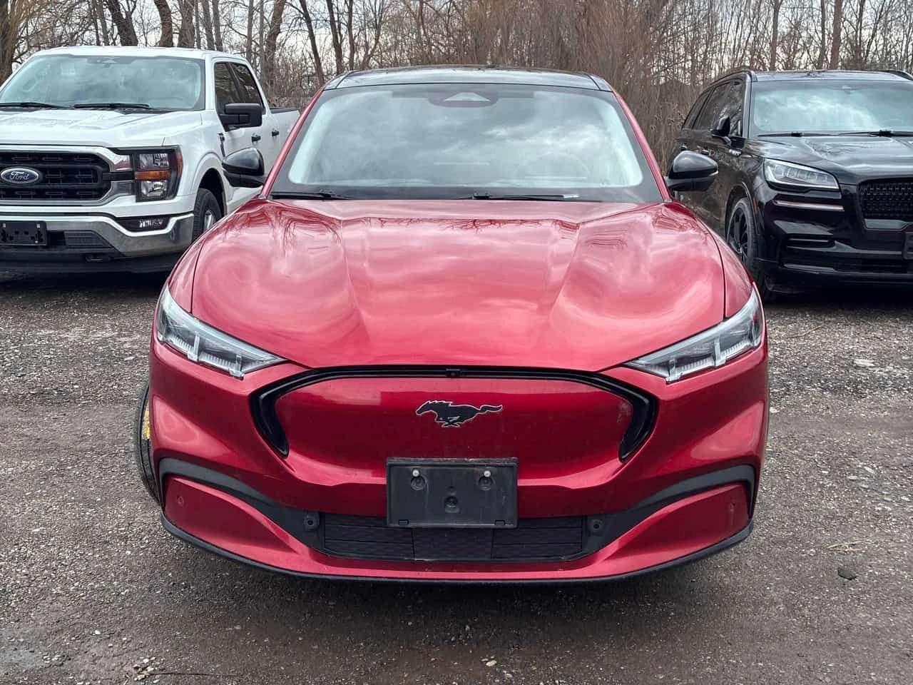 Ford Mustang Mach-E Premium  CARFAX, снимка 6 - Автомобили и джипове - 53885862