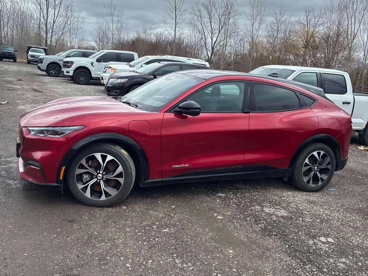 Ford Mustang Mach-E Premium  CARFAX, снимка 2 - Автомобили и джипове - 53885862