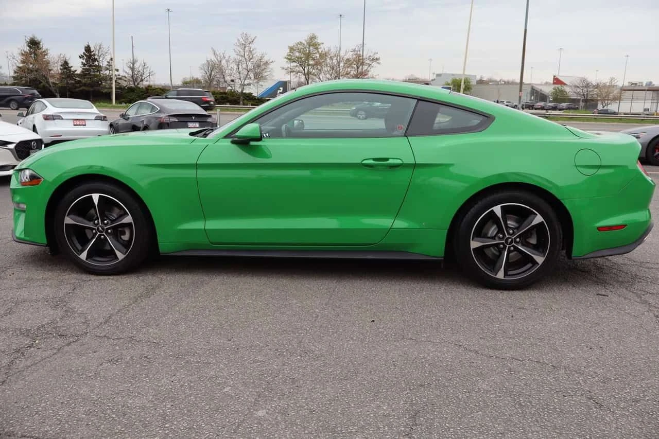 Ford Mustang * EcoBoost Coupe | No Accident | Clean Carfax * CA, снимка 4 - Автомобили и джипове - 55421605