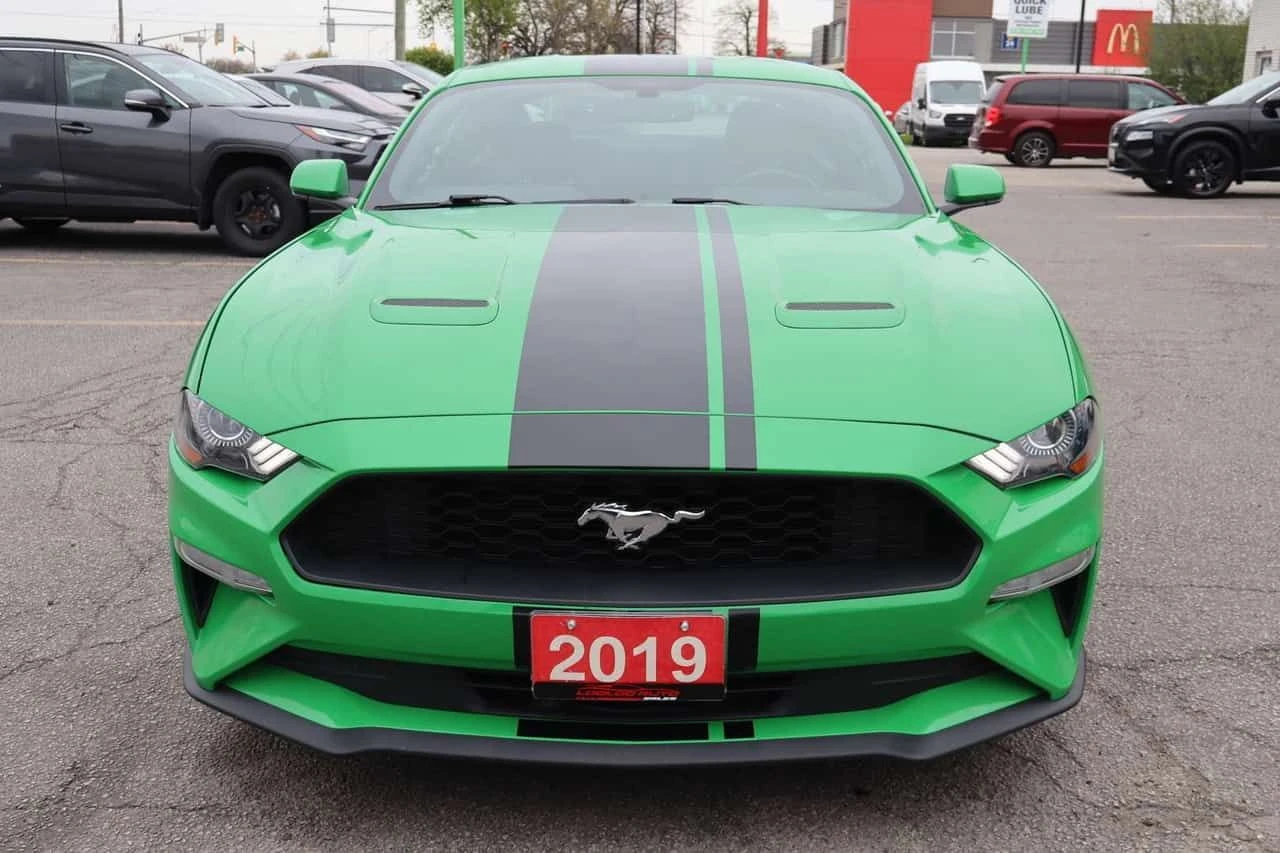 Ford Mustang * EcoBoost Coupe | No Accident | Clean Carfax * CA, снимка 2 - Автомобили и джипове - 55421605