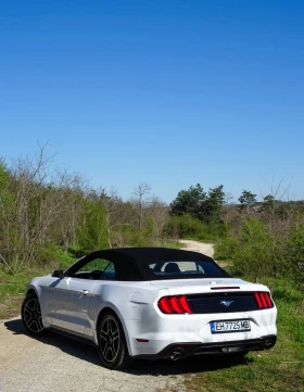 Ford Mustang CONVERTIBLE 55th anniversary , снимка 12