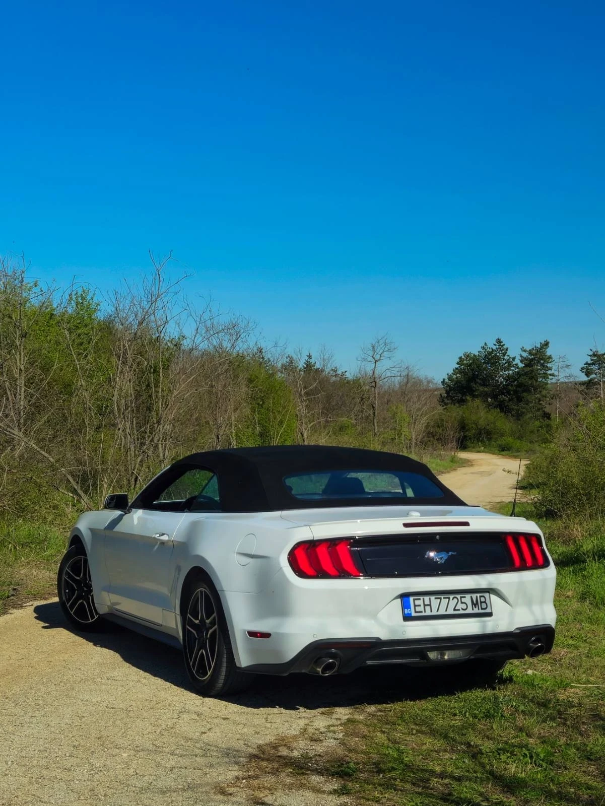 Ford Mustang CONVERTIBLE 55th anniversary  - изображение 3