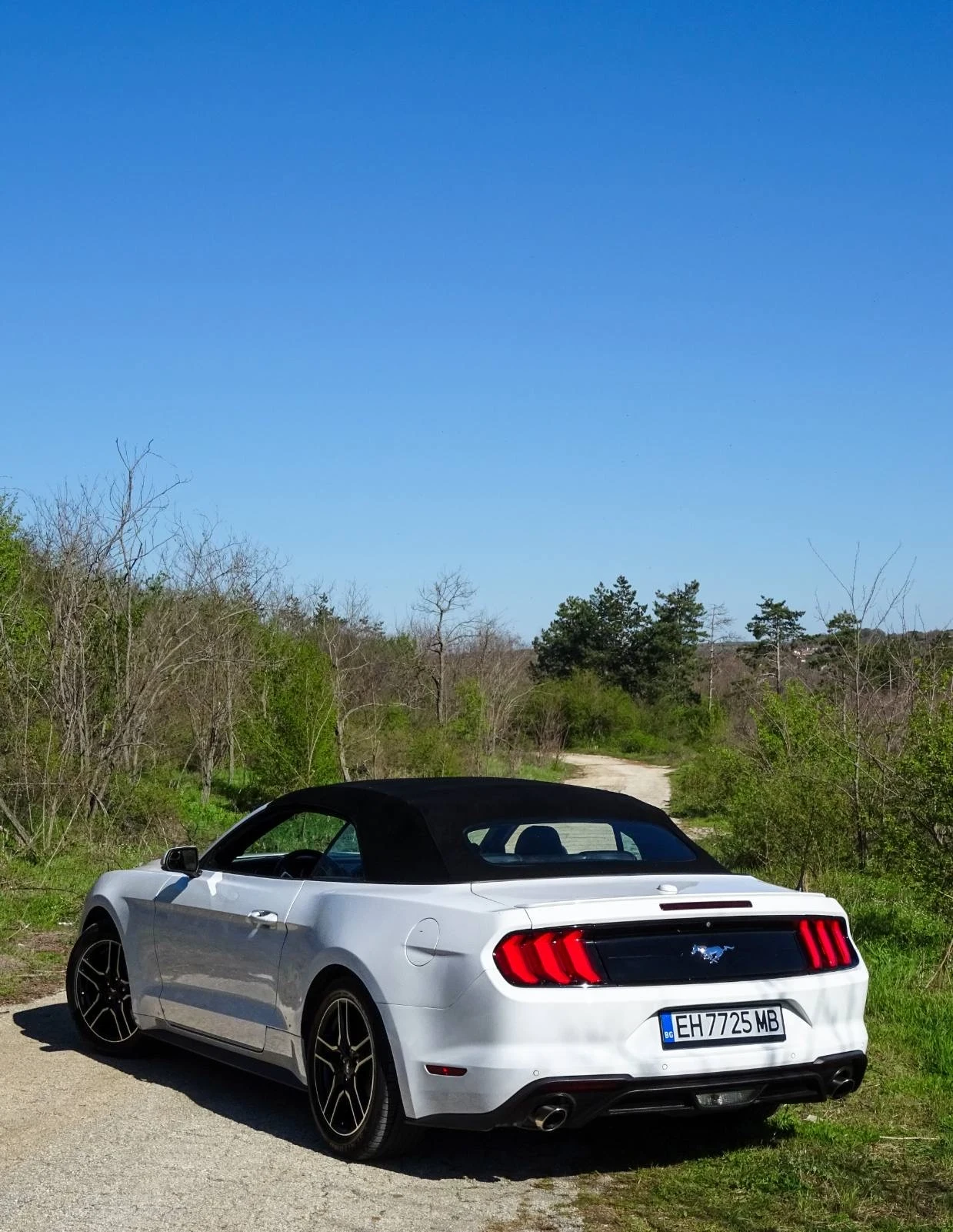 Ford Mustang CONVERTIBLE 55th anniversary , снимка 12 - Автомобили и джипове - 53715579