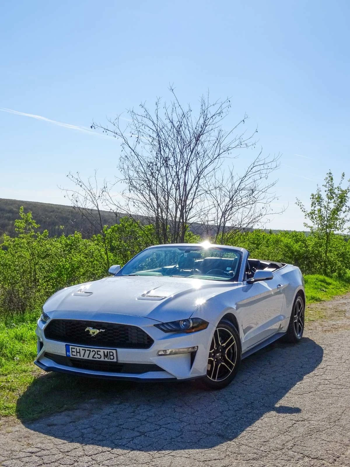 Ford Mustang CONVERTIBLE 55th anniversary , снимка 13 - Автомобили и джипове - 53715579