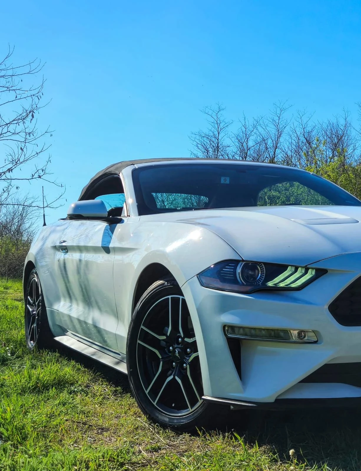 Ford Mustang CONVERTIBLE 55th anniversary  - изображение 5