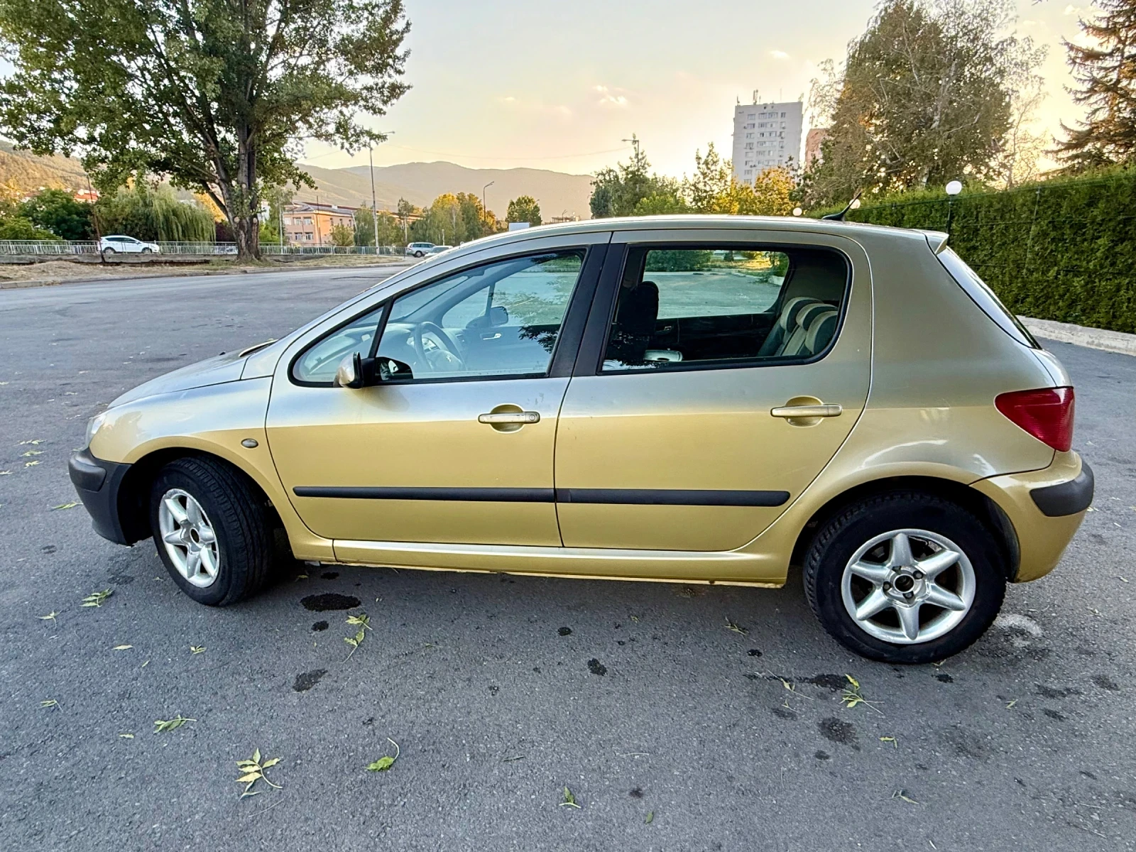 Peugeot 307 1.4 i , снимка 4 - Автомобили и джипове - 56260464