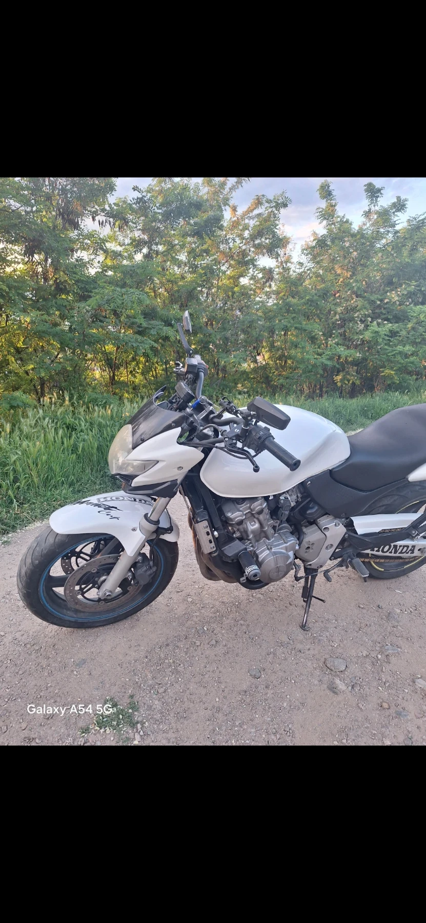 Honda Hornet  - изображение 3