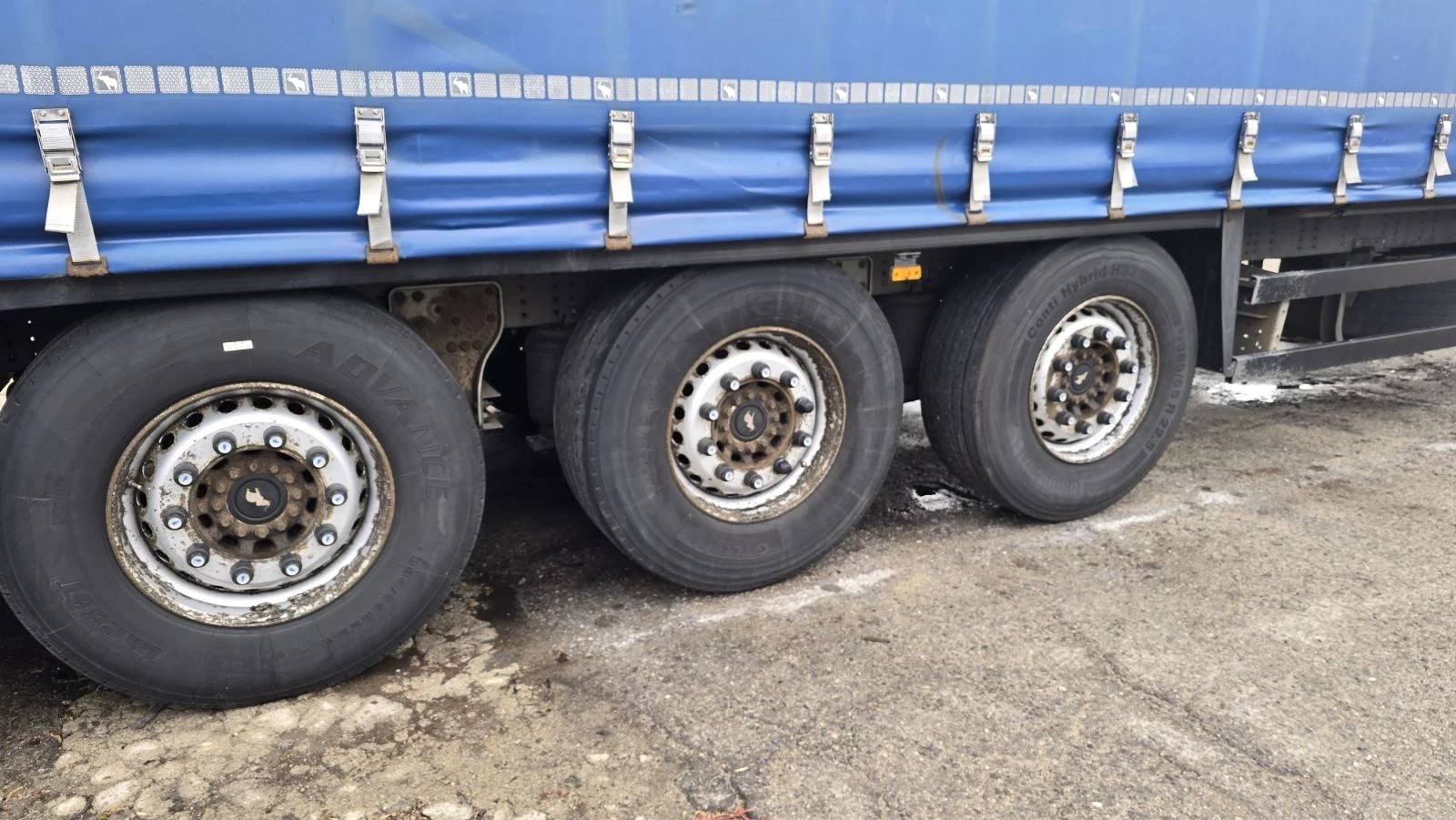 Полуремарке Schmitz Буге, снимка 12 - Ремаркета - 54173751