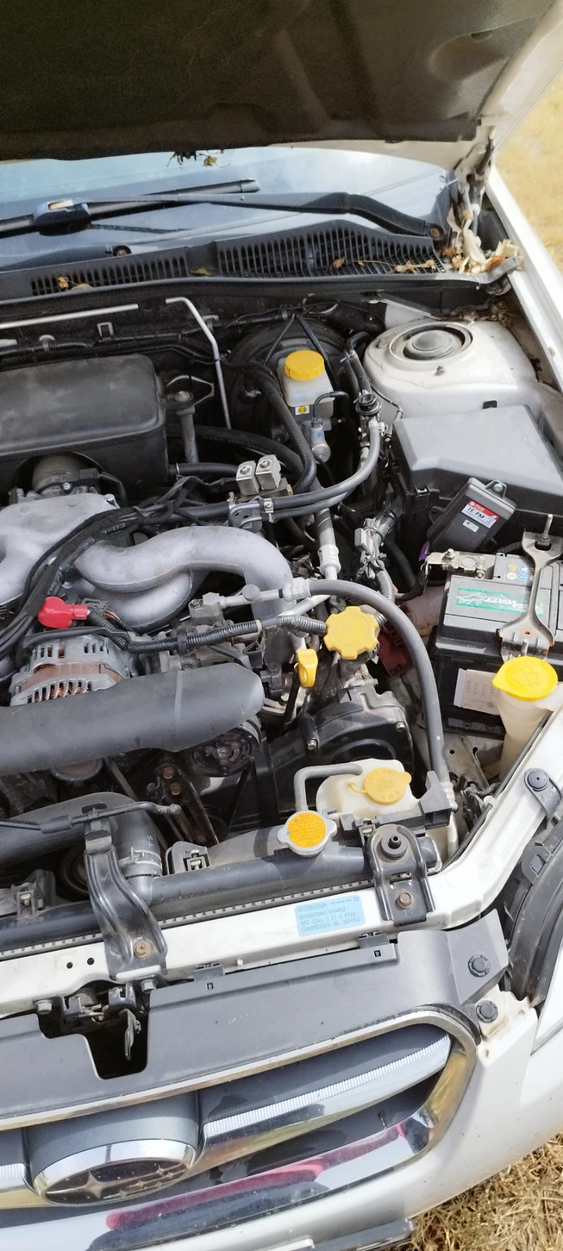 Subaru Legacy 2.0i | Mobile.bg � ����������� 14