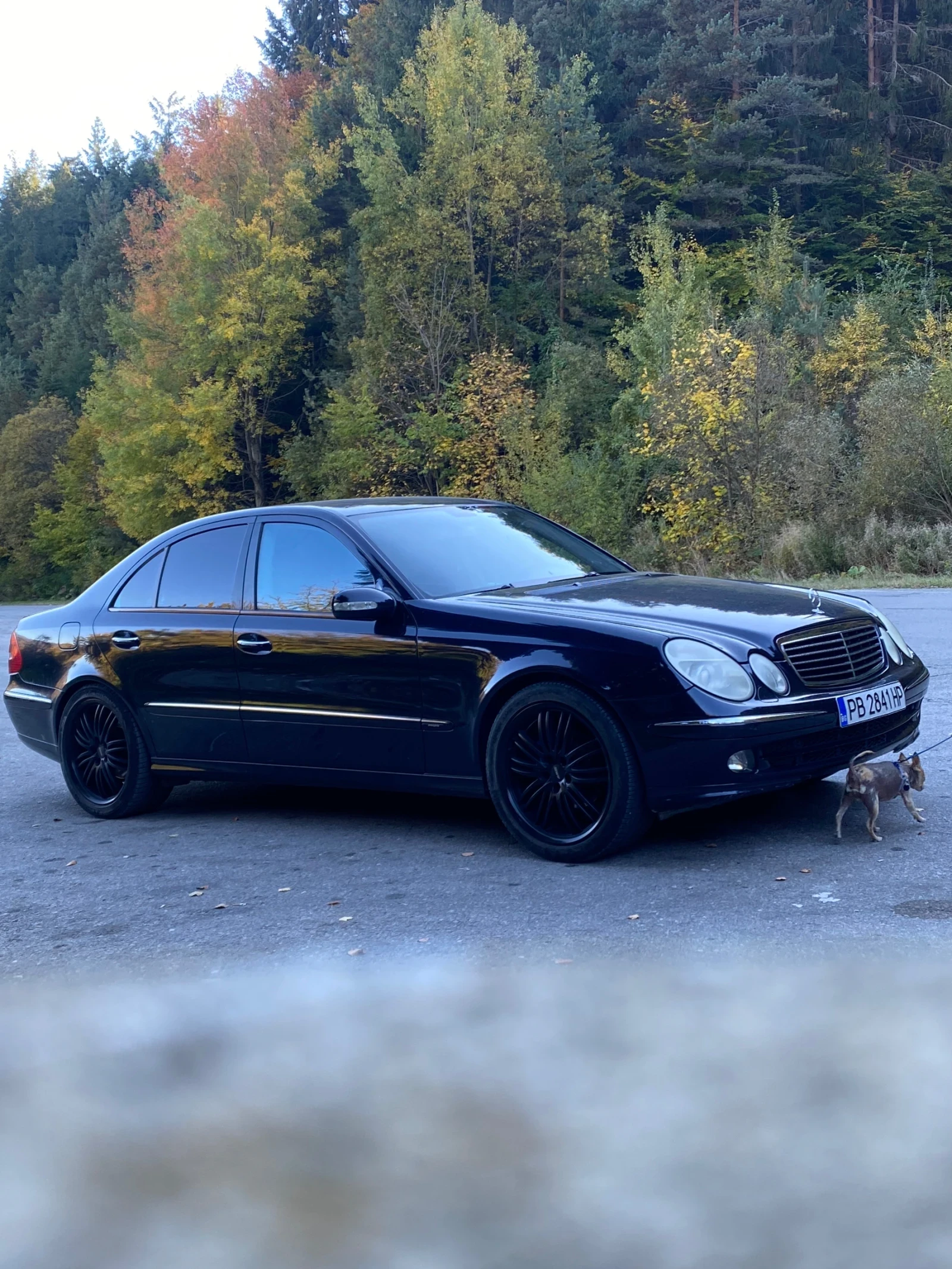 Mercedes-Benz E 280 E320 | Mobile.bg � ����������� 6
