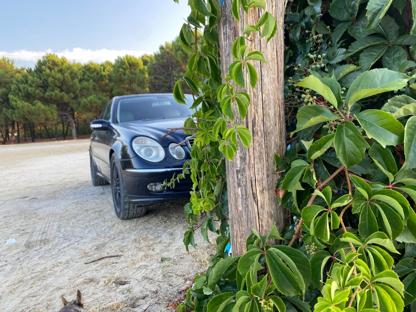 Mercedes-Benz E 280 E320 | Mobile.bg � ����������� 9