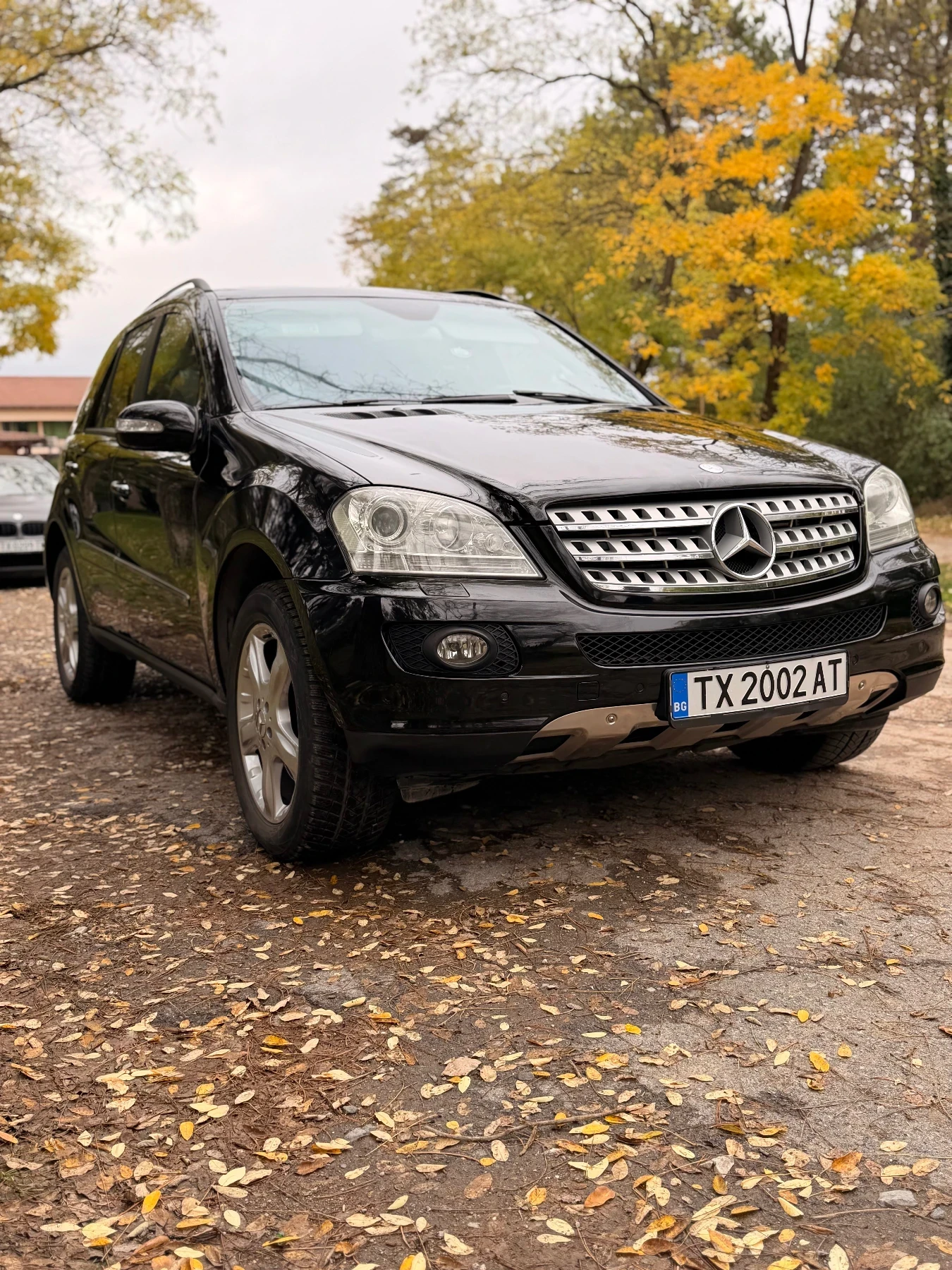 Mercedes-Benz ML 320, снимка 2 - Автомобили и джипове - 56746259