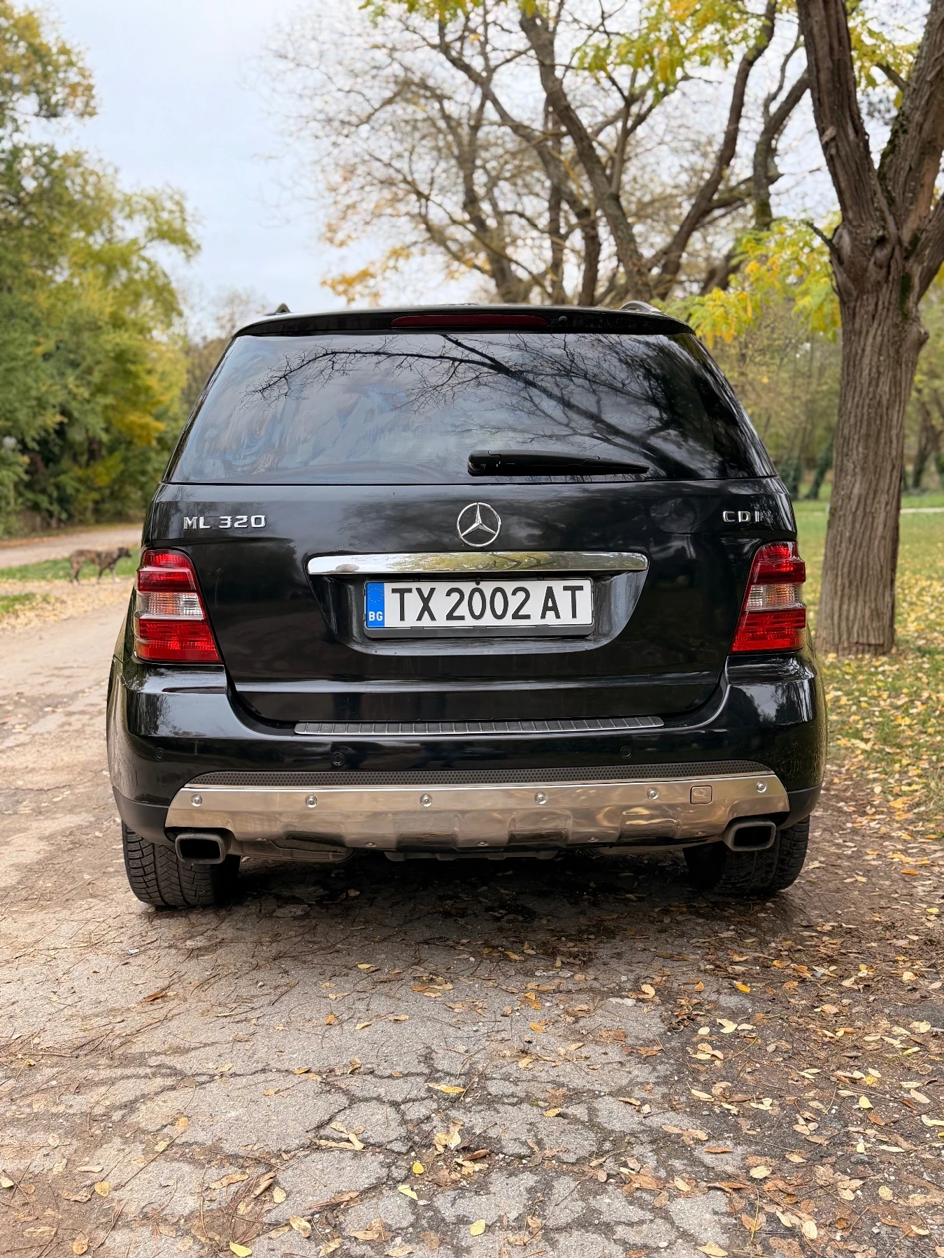 Mercedes-Benz ML 320, снимка 4 - Автомобили и джипове - 56746259