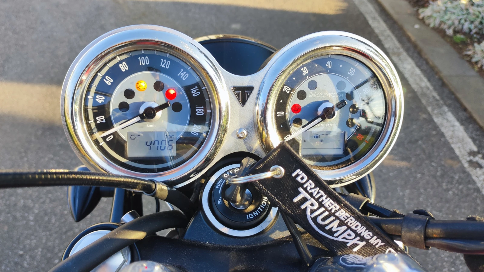 Triumph Bonneville  T 100 - изображение 7