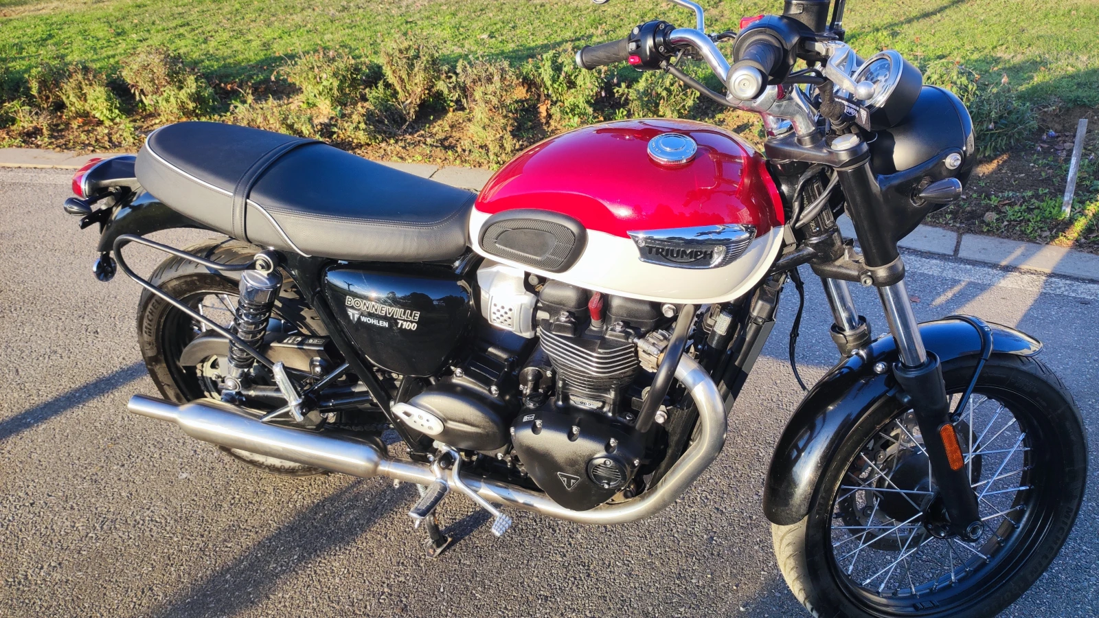 Triumph Bonneville  T 100 - изображение 4