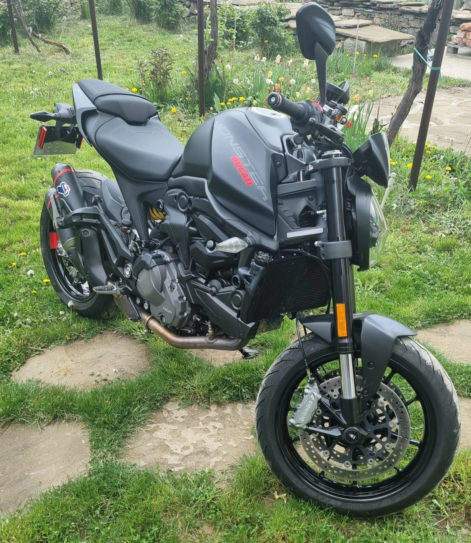 Ducati Monster plus