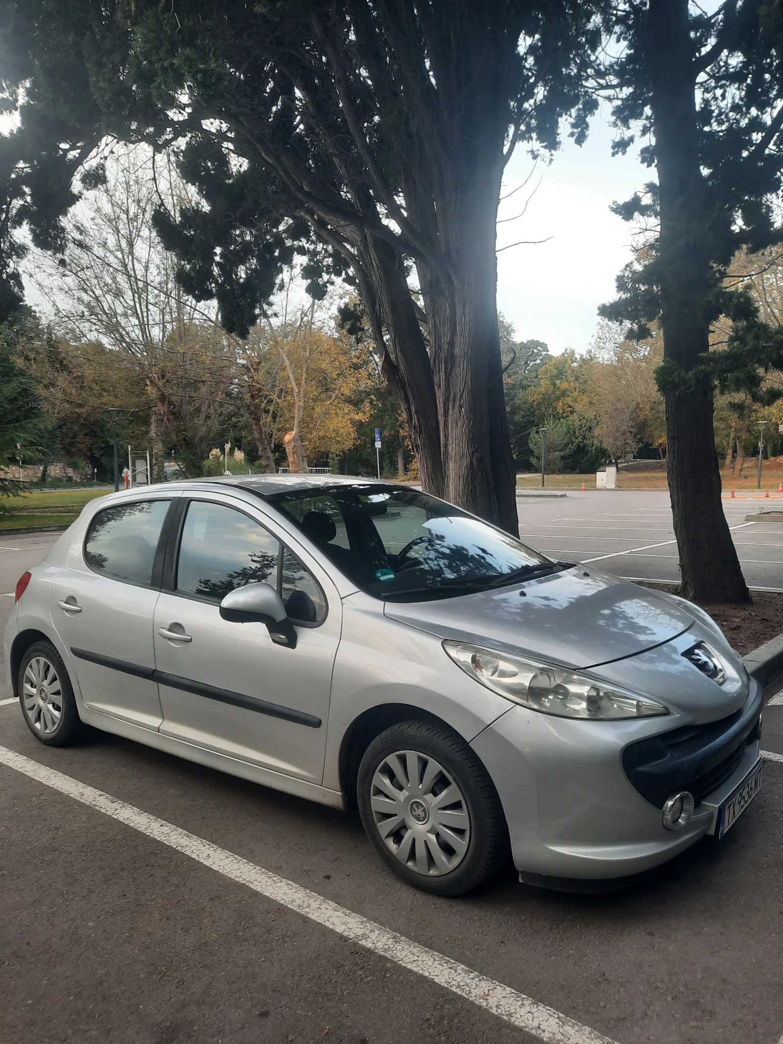Peugeot 207 1.4, снимка 12 - Автомобили и джипове - 56585475