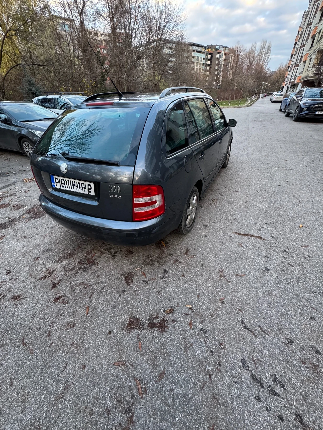 Skoda Fabia Фабричен газов инжекцион - изображение 5