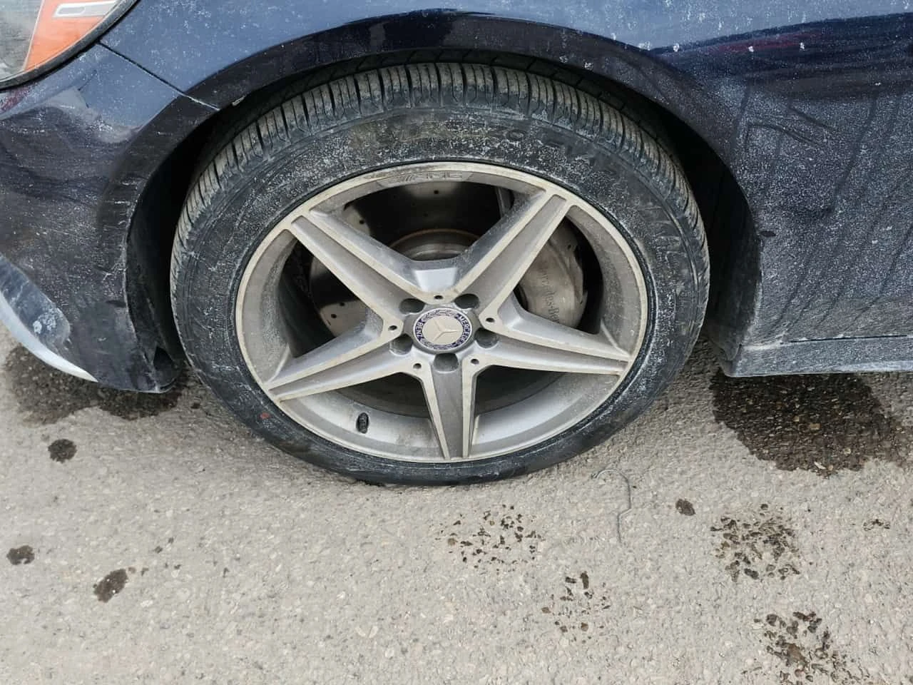 Mercedes-Benz C 300 4MATIC / ПОДГРЕВИ / ПАНОРАМА / ОТ ПРЕДСТАВИТЕЛСТВО, снимка 5 - Автомобили и джипове - 53996455