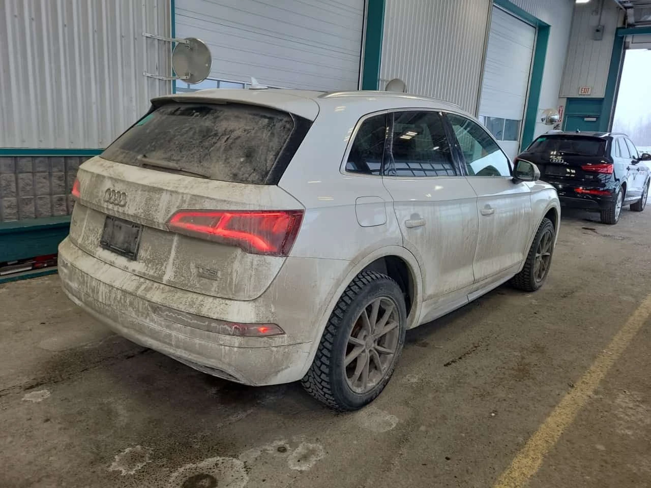 Audi Q5 * TECHNIK * CARFAX * DIGITAL * PANO - изображение 3