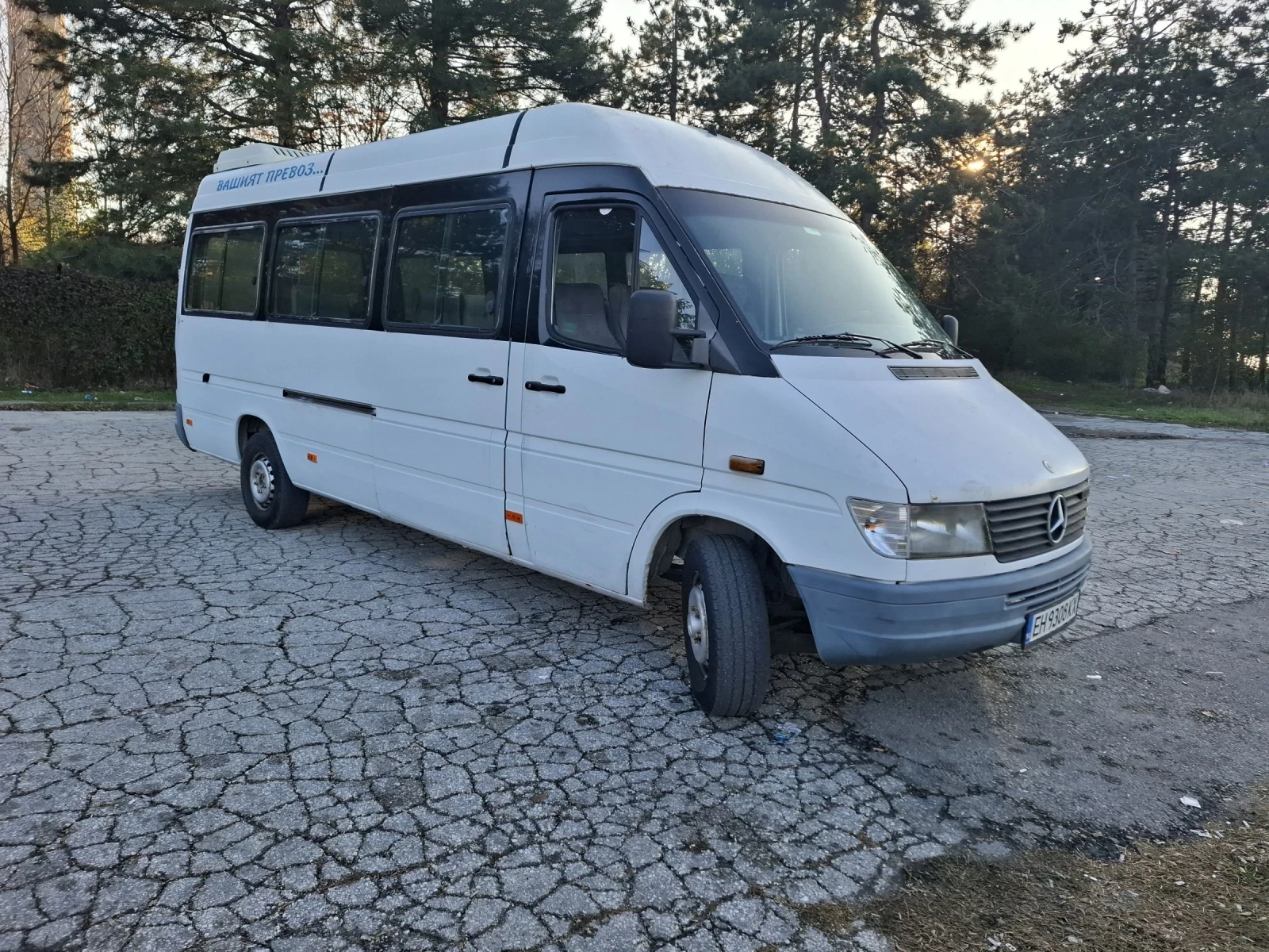 Mercedes-Benz Sprinter 312 2.9TDI - изображение 3