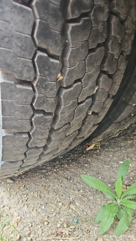 Обява за продажба на Mercedes-Benz 815 Atego ~8 500 лв. - изображение 4